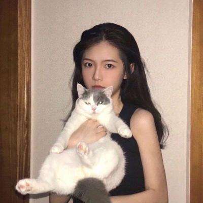 地下城史诗领主官方版下载
